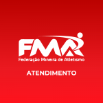Organizador